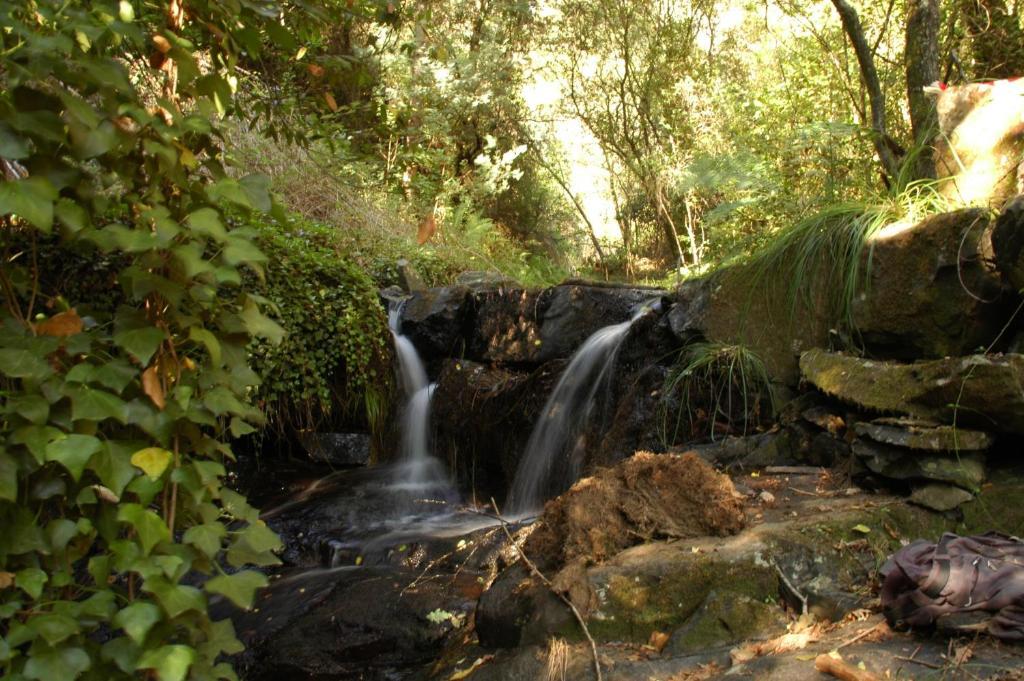 Hotel Rota Malhoa Figueiro Dos Vinhos Εξωτερικό φωτογραφία
